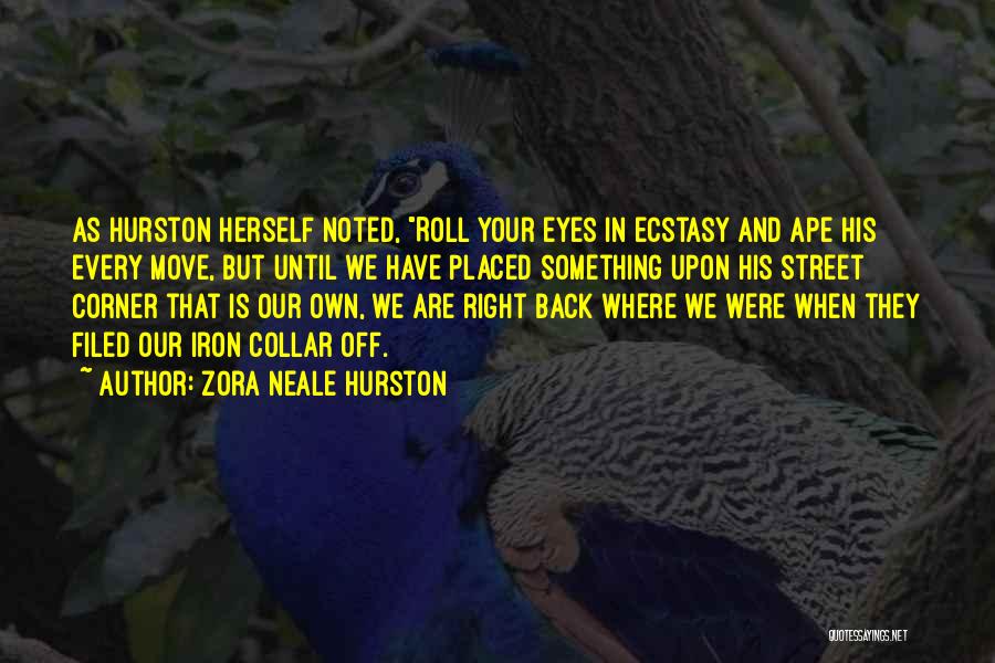 Roll Off Your Back Quotes By Zora Neale Hurston