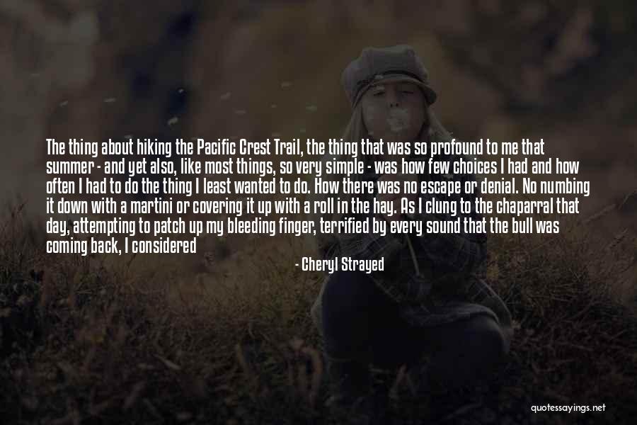 Roll On Summer Quotes By Cheryl Strayed