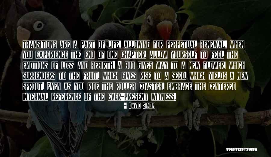 Roller Coaster Life Quotes By David Simon Roller Coaster Life Quotes By David Simon