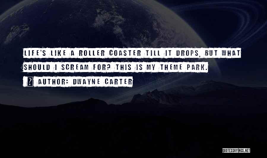 Roller Coaster Life Quotes By Dwayne Carter