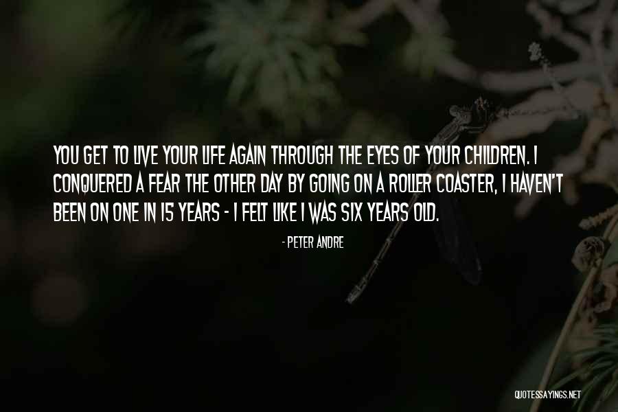 Roller Coaster Life Quotes By Peter Andre Roller Coaster Life Quotes By Peter Andre