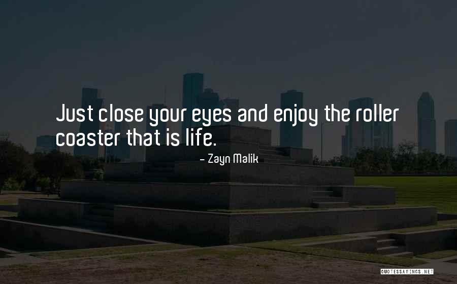Roller Coaster Life Quotes By Zayn Malik Roller Coaster Life Quotes By Zayn Malik