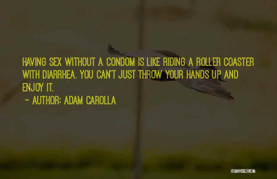 Roller Coaster Quotes By Adam Carolla
