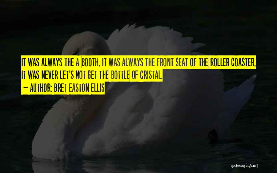 Roller Coaster Quotes By Bret Easton Ellis