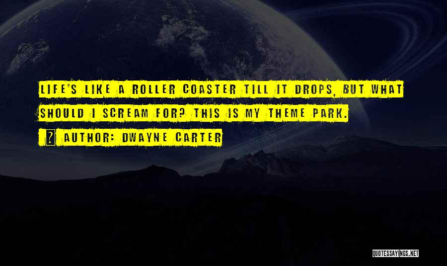 Roller Coaster Quotes By Dwayne Carter