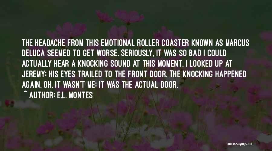 Roller Coaster Quotes By E.L. Montes