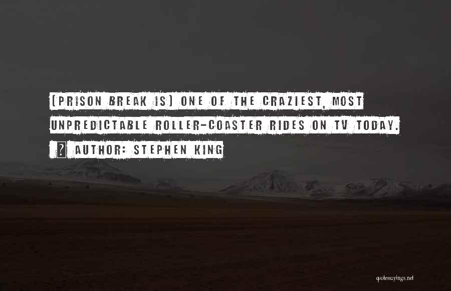 Roller Coaster Rides Quotes By Stephen King