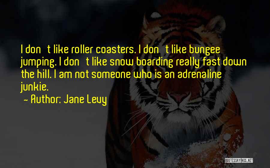 Roller Coasters Quotes By Jane Levy