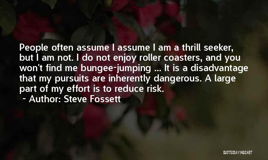 Roller Coasters Quotes By Steve Fossett