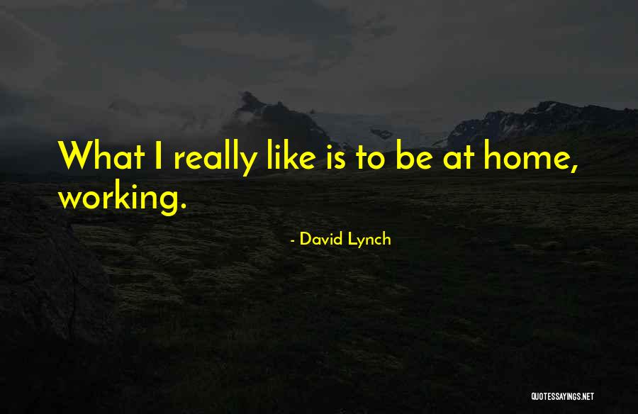 Rollerblader Quotes By David Lynch