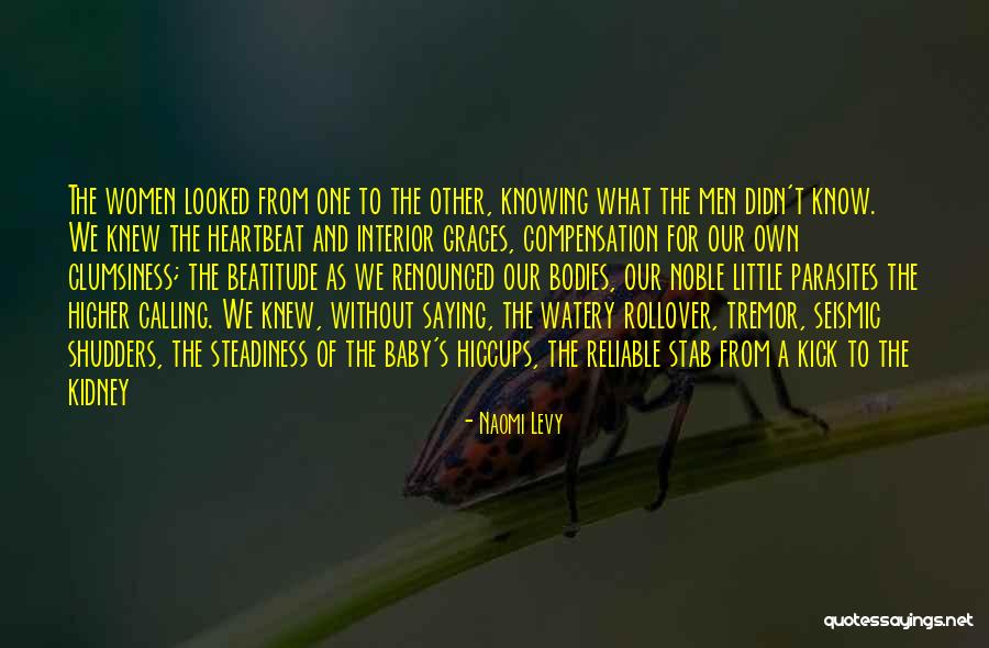 Rollover Quotes By Naomi Levy Rollover Quotes By Naomi Levy