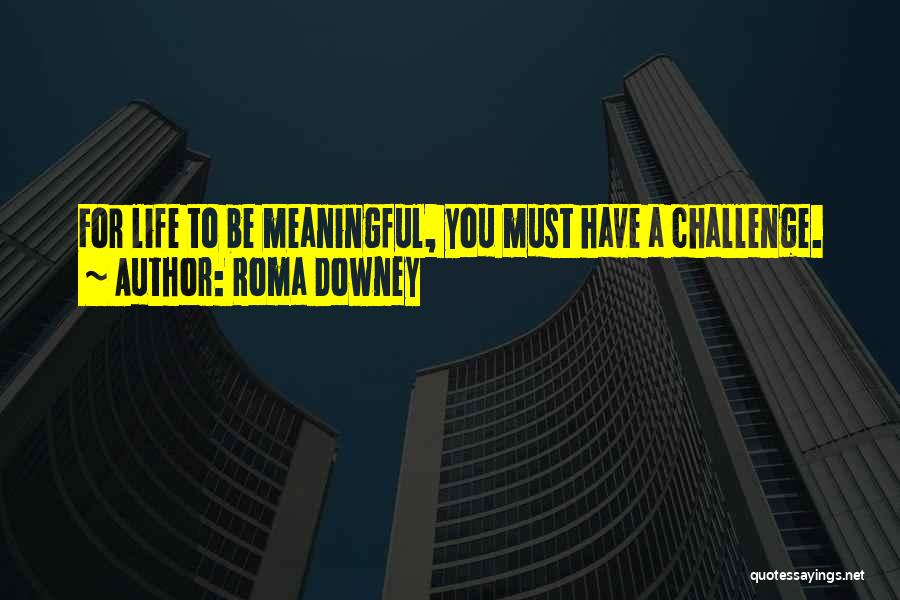 Roma Downey Quotes 2004501