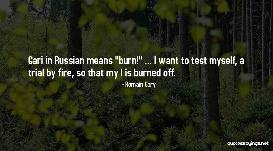 Romain Gary Quotes 1005766 Romain Gary Quotes 1005766