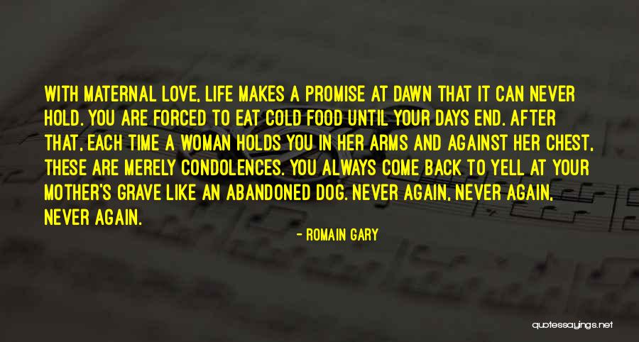 Romain Gary Quotes 1994261