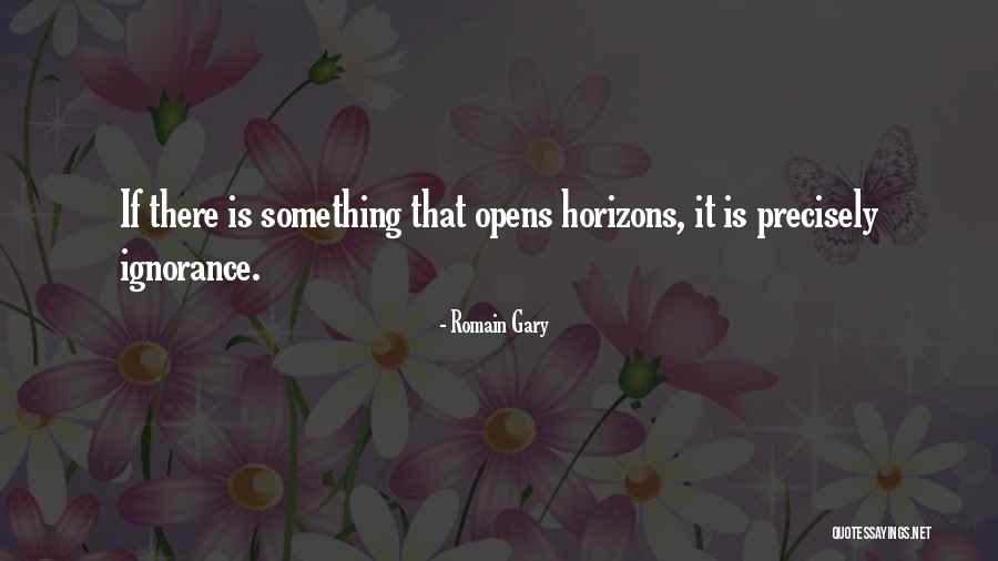 Romain Gary Quotes 361256 Romain Gary Quotes 361256