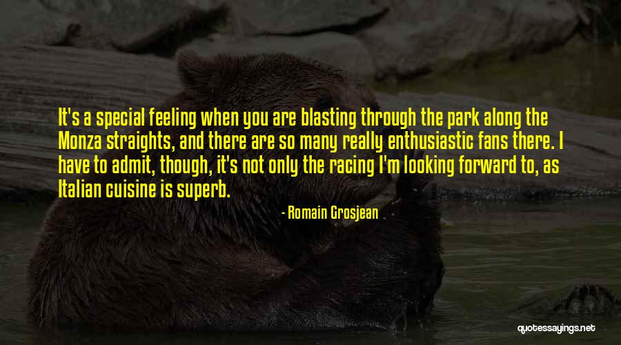 Romain Grosjean Quotes 1623490 Romain Grosjean Quotes 1623490