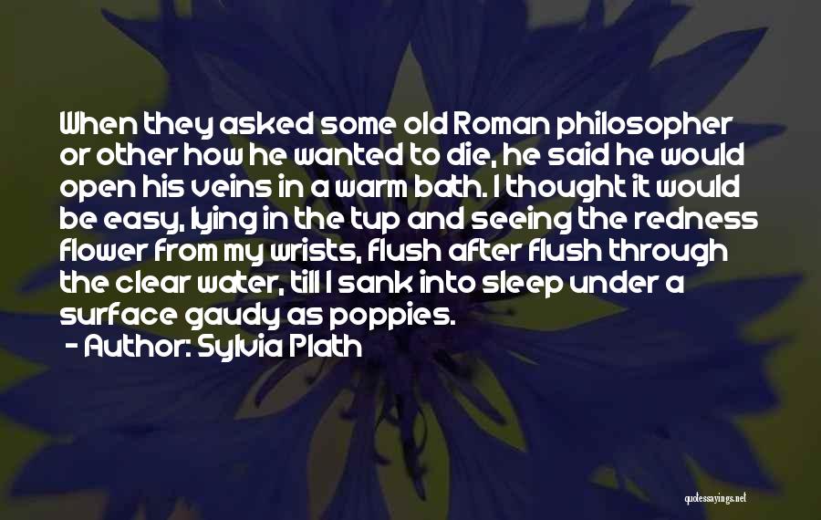 Roman Bath Quotes By Sylvia Plath