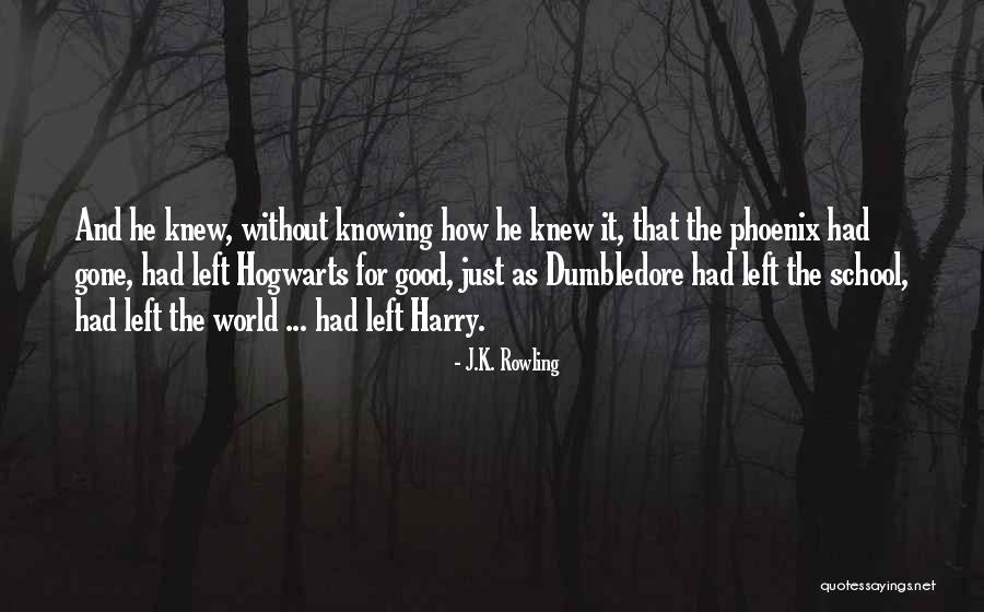 Roman Drain Quotes By J.K. Rowling Roman Drain Quotes By J.K. Rowling