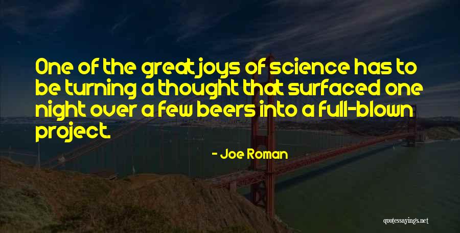 Roman Quotes By Joe Roman