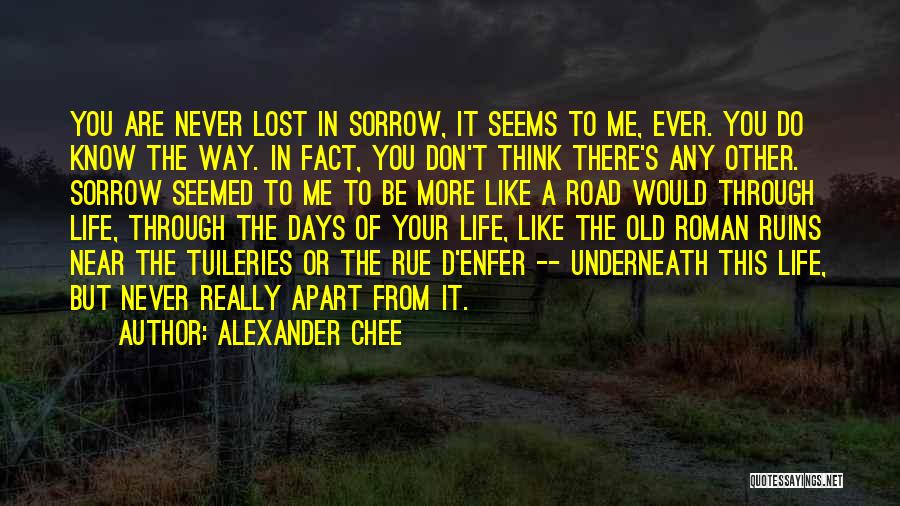 Roman Ruins Quotes By Alexander Chee