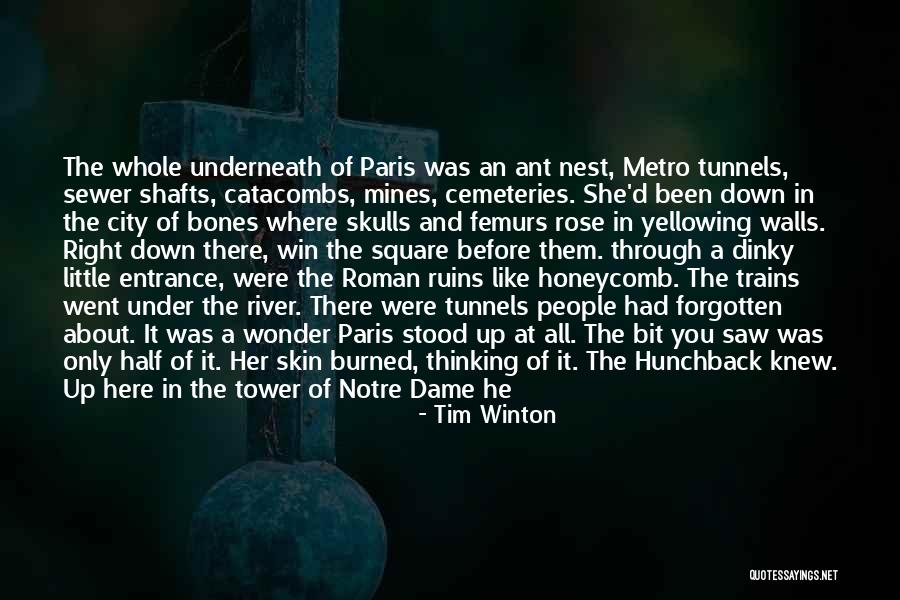 Roman Ruins Quotes By Tim Winton Roman Ruins Quotes By Tim Winton