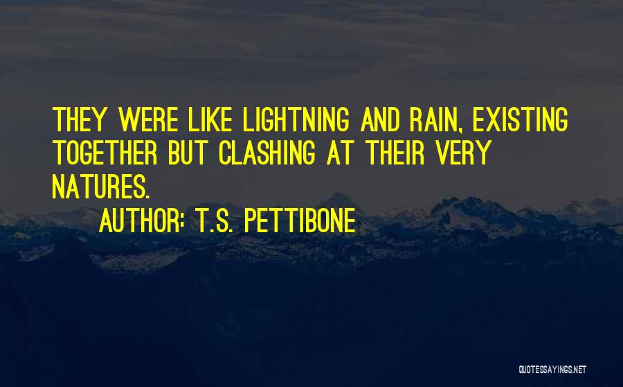 Romance And Rain Quotes By T.S. Pettibone