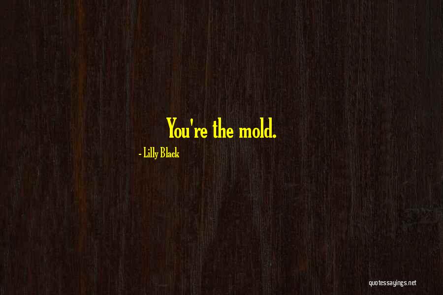 Romance Erotic Quotes By Lilly Black Romance Erotic Quotes By Lilly Black