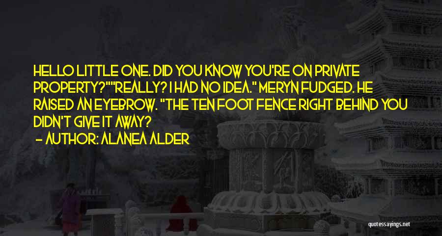 Romance Funny Quotes By Alanea Alder