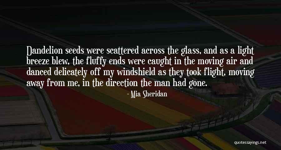 Romance In The Air Quotes By Mia Sheridan Romance In The Air Quotes By Mia Sheridan