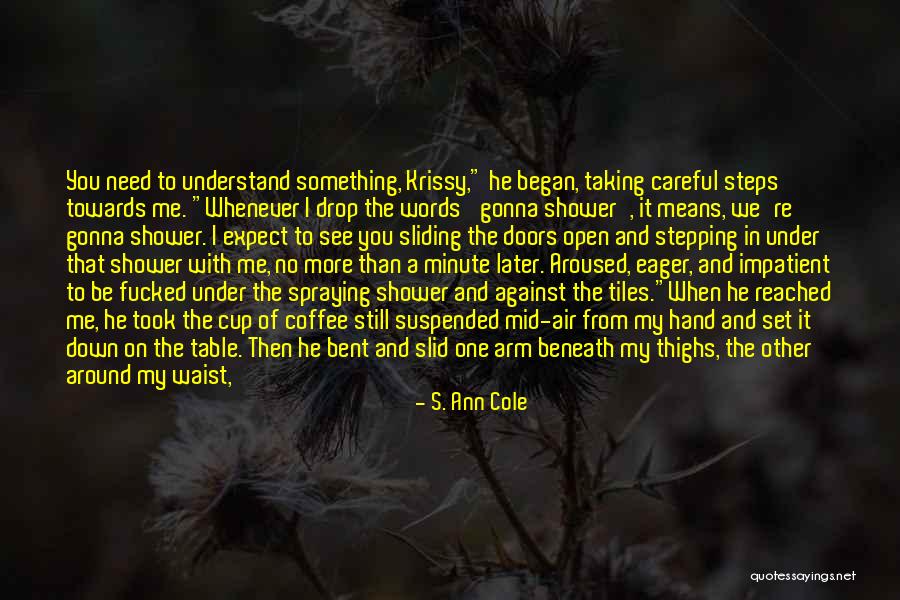 Romance In The Air Quotes By S. Ann Cole Romance In The Air Quotes By S. Ann Cole