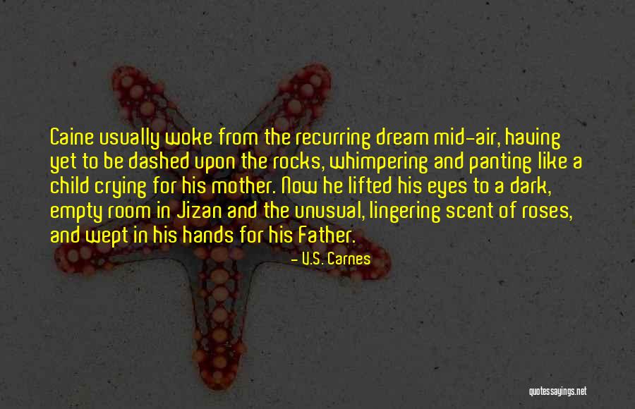 Romance In The Air Quotes By V.S. Carnes Romance In The Air Quotes By V.S. Carnes