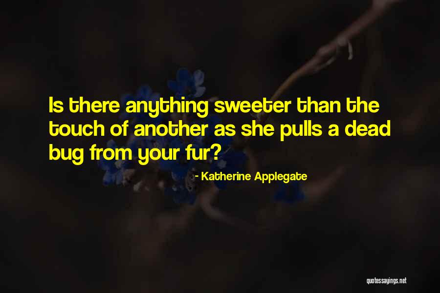 Romance Is Dead Quotes By Katherine Applegate Romance Is Dead Quotes By Katherine Applegate