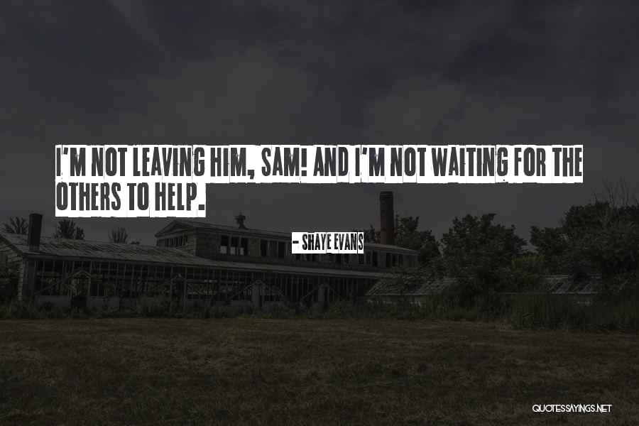 Romance Mm Quotes By Shaye Evans Romance Mm Quotes By Shaye Evans