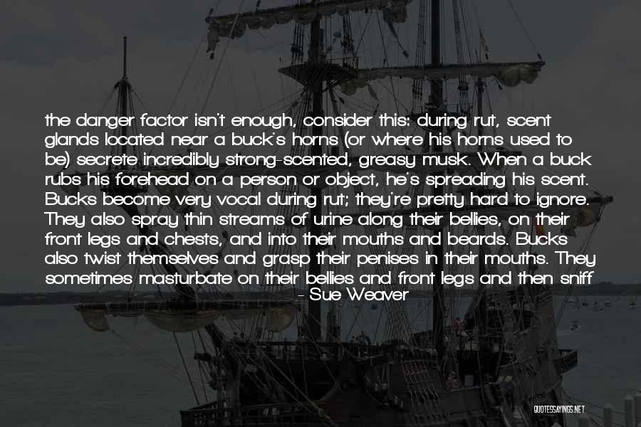 Romance Suspence Quotes By Sue Weaver Romance Suspence Quotes By Sue Weaver