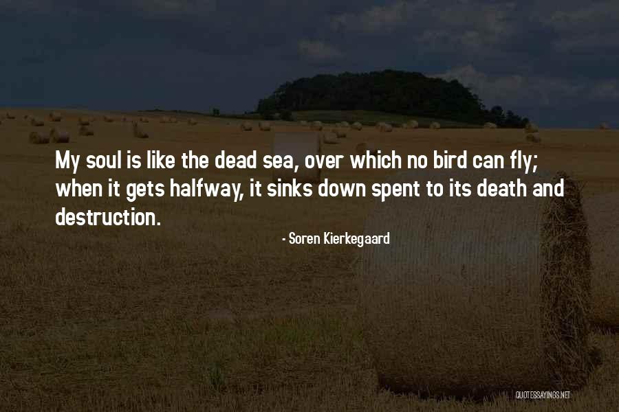 Romancier Stallion Quotes By Soren Kierkegaard Romancier Stallion Quotes By Soren Kierkegaard