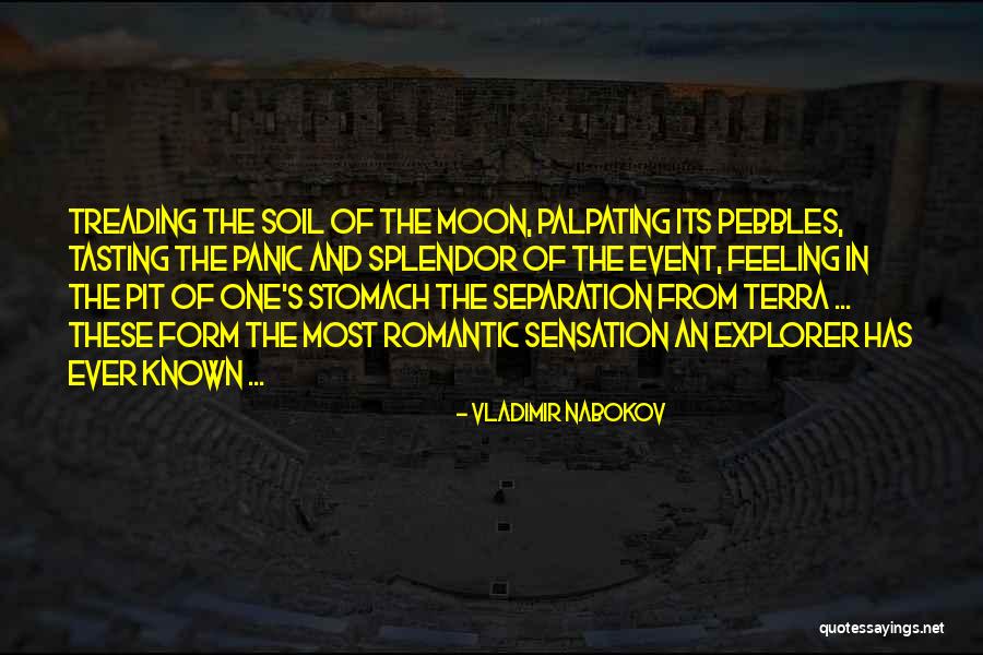 Romantic Adventure Quotes By Vladimir Nabokov Romantic Adventure Quotes By Vladimir Nabokov