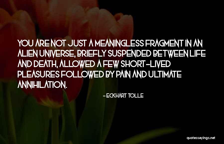 Romantic English Short Quotes By Eckhart Tolle Romantic English Short Quotes By Eckhart Tolle