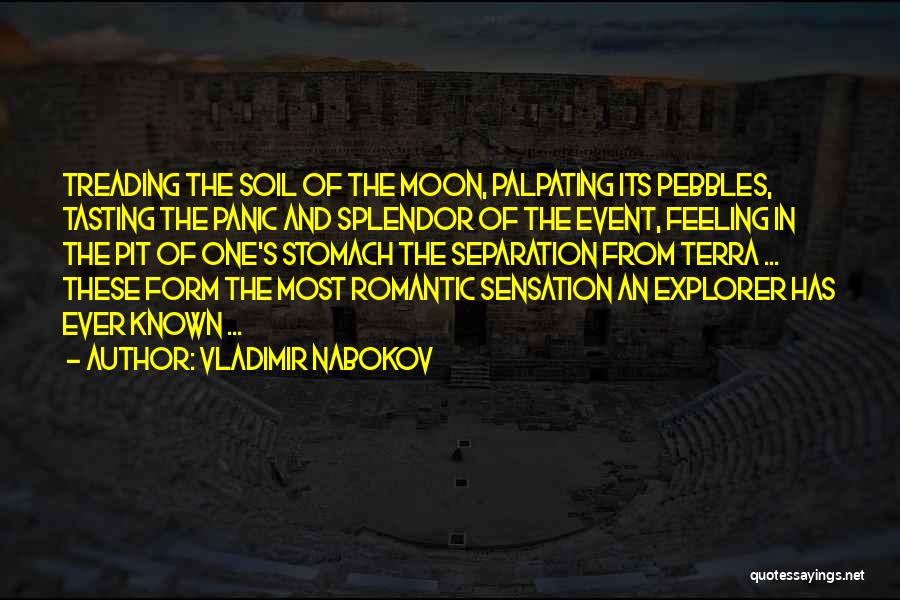 Romantic Moon Quotes By Vladimir Nabokov