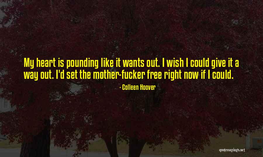 Romantic Proposal Quotes By Colleen Hoover Romantic Proposal Quotes By Colleen Hoover