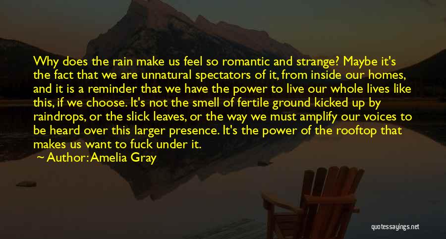 Romantic Rain Quotes By Amelia Gray