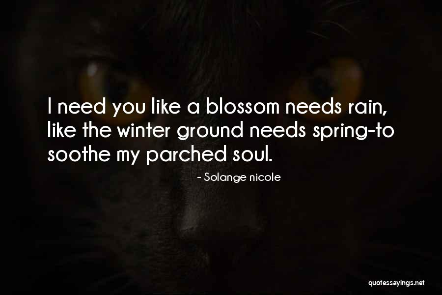 Romantic Rain Quotes By Solange Nicole