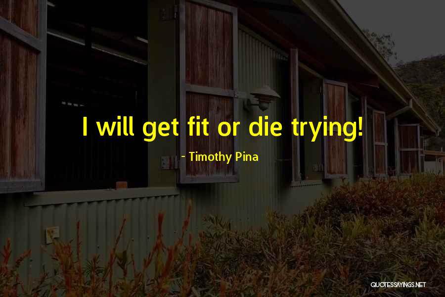 Romantic Shooting Star Quotes By Timothy Pina