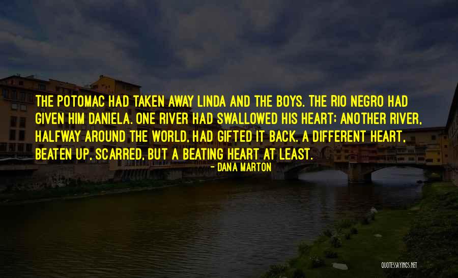 Romantic Thriller Quotes By Dana Marton Romantic Thriller Quotes By Dana Marton