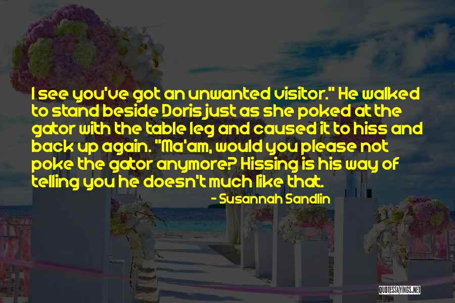 Romantic Thriller Quotes By Susannah Sandlin Romantic Thriller Quotes By Susannah Sandlin