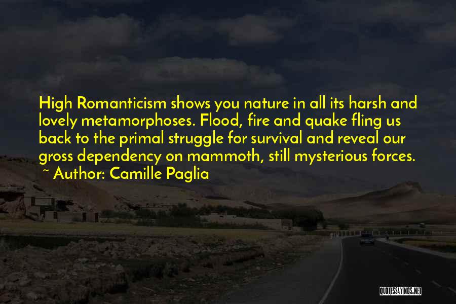 Romanticism And Nature Quotes By Camille Paglia