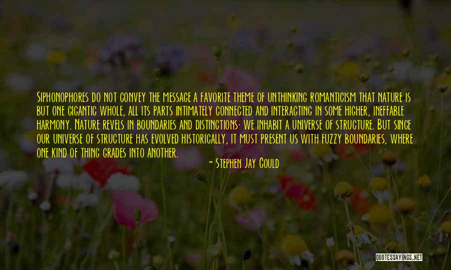 Romanticism And Nature Quotes By Stephen Jay Gould