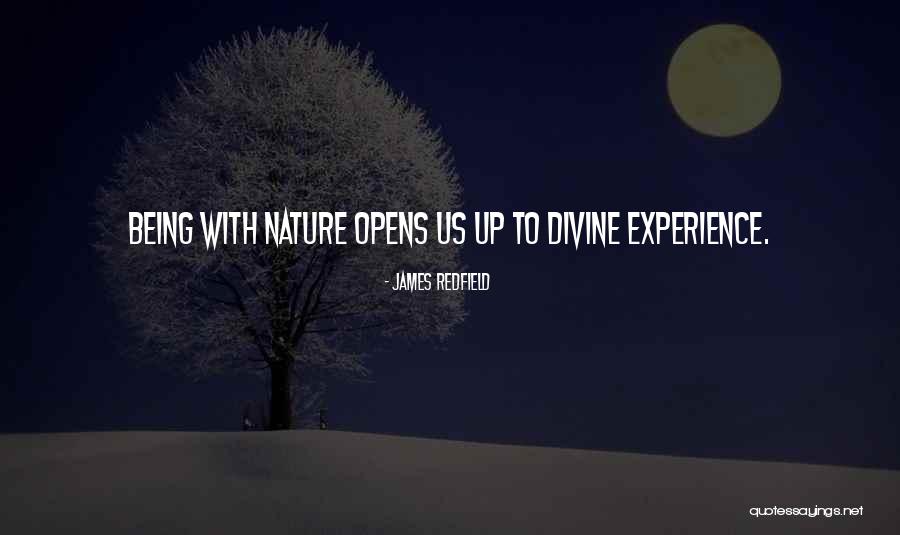 Romantique Quotes By James Redfield Romantique Quotes By James Redfield