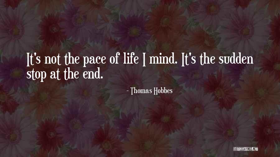 Romeisha Quotes By Thomas Hobbes Romeisha Quotes By Thomas Hobbes