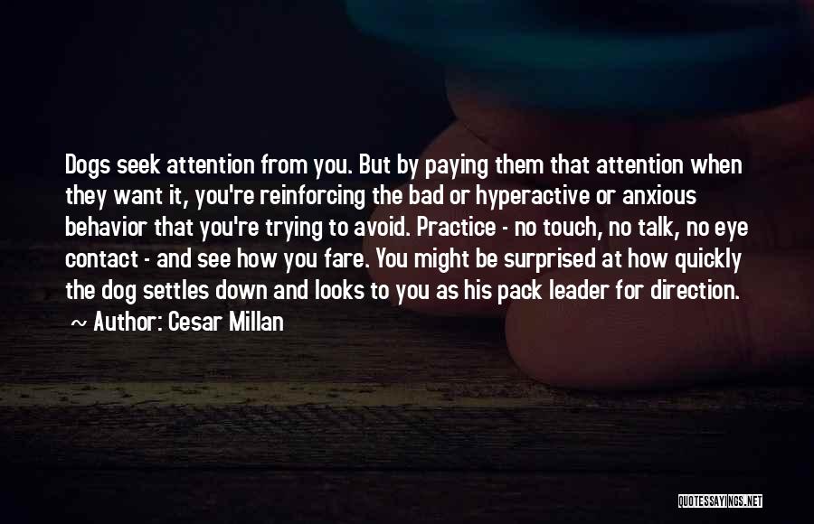 Romeo Impatient Quotes By Cesar Millan