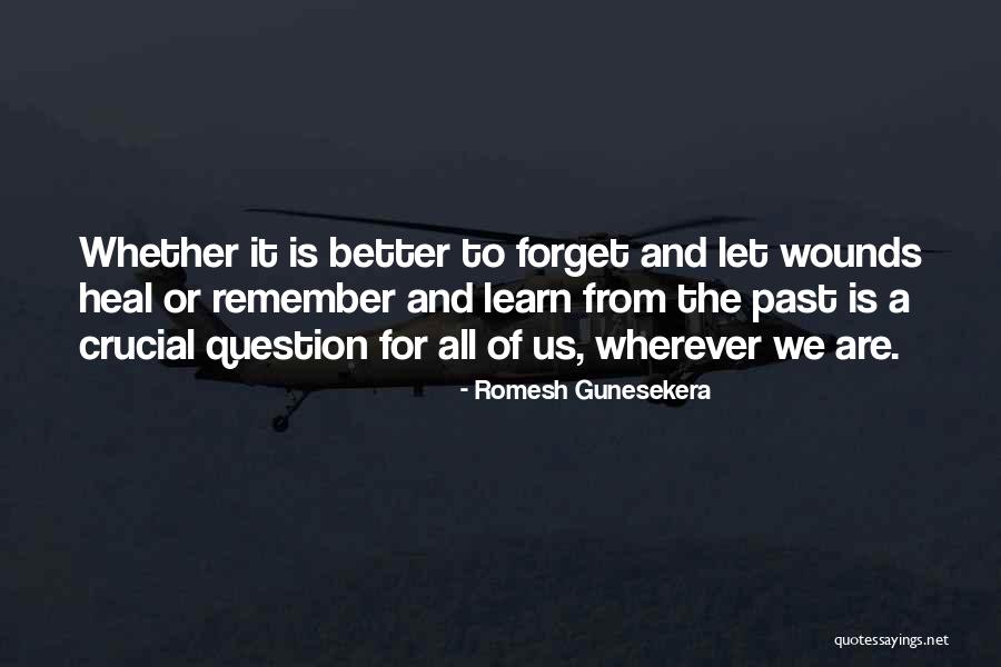 Romesh Gunesekera Quotes 1092950